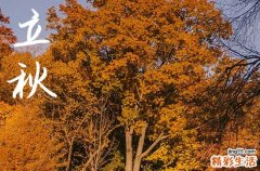 2024立秋是哪天 2024立秋那天造车器好不好