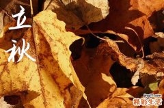 2024年立秋是几点几分几秒 2024立秋这天可以安装家电吗