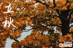 2024年立秋是几月几日 2024年立秋这天日子怎样