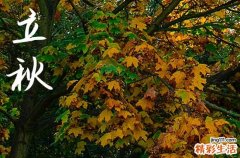 立秋是2024的几月几日 2024年8月7日立秋封顶适合吗