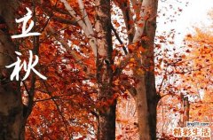 2024年今年立秋是几月几号 2024立秋那天房屋过户好不好