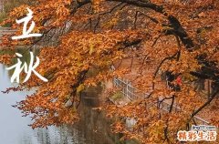 2024立秋是哪天 2024年立秋适合打地基吗