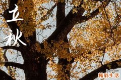 立秋是几月几号2024年 2024年8月7日立秋打灶台适合吗