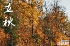 立秋是几月几号2024年 今天日子好不好