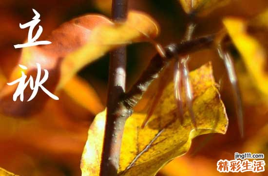 2024年立秋是几月几日 2024年立秋弄拜神好不好