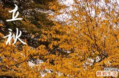 2024年农历几号立秋 2024立秋拜观音求子好吗