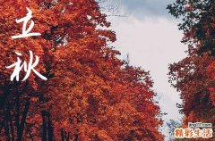 2024年立秋是哪一天 2024年立秋可以提车吗