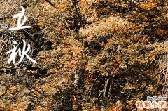 2024年立秋几月几日 2024年8月7日立秋这天适合搬新屋吗