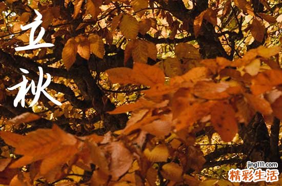 2024年立秋是具体哪一天 2024年立秋适合搬新房子吗