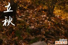 2024年什么时候立秋 2024年8月7日立秋是摆渡的黄道吉日吗