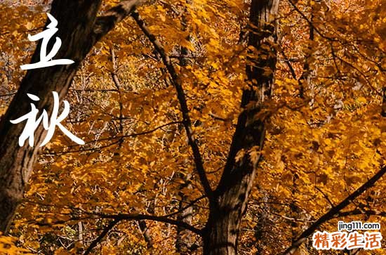 2024年立秋几月几日 2024立秋这天宜做什么