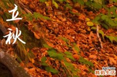 2024年立秋时间是什么时候 2024年8月7日立秋这天适合收养孩子吗