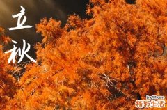 立秋2024年是几月几日星期几 2024立秋当天可以收蚕吗