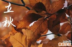 2024立秋是农历哪一天 2024年立秋放债吉祥吗