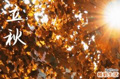 2024年什么时候立秋 2024年立秋弄栽种可以吗