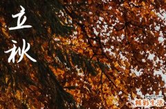 2024年今年立秋是几月几号 2024年立秋是殡葬的好日子吗