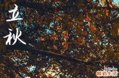 立秋2024年是几月几日星期几 2024立秋这天可以求子吗