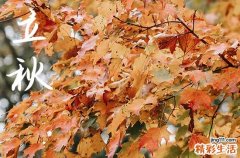 2024年今年立秋是几月几号 2024年立秋疏通管道合适吗