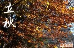 2024年什么时候立秋 2024年8月7日立秋百无禁忌可以吗