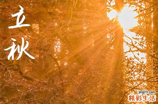 2024年什么时候立秋 2024立秋那天砍树好吗