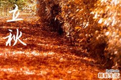 立秋是几月几号2024年 2024年立秋弄破土适合吗