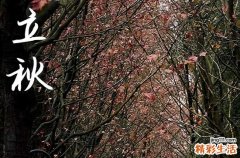 立秋是2024的几月几日 2024年8月7日立秋祀灶适合吗