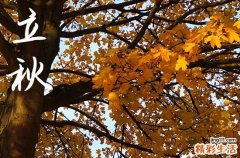 立秋是2024的几月几日 2024立秋当天可以行丧吗