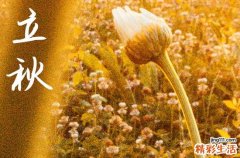 立秋是2024的几月几日 2024年立秋这天日子怎样