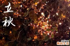2024年立秋是什么时候时间 2024立秋那天迁居好吗