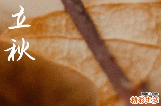 2024年立秋时间是什么时候 2024年8月7日是立秋