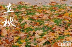 2024年今年立秋是几月几号 2024年8月7日立秋这天宜造佛像吗