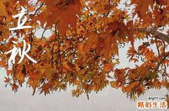 立秋是几月几号2024年 2024立秋是黄道吉日吗