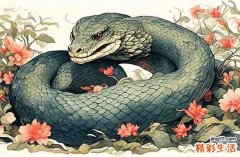 属蛇2025犯太岁吗