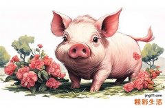 生肖猪2019年2025年运势如何 生肖猪2019年2025年全年运势