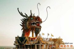 生肖龙2024年2025年运势如何 生肖龙2024年2025年全年运势