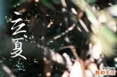 立夏节气要注意些什么立夏节气的养生方法