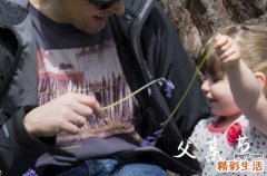 2024年父亲节祝福短信大全父亲节祝福语简短唯美