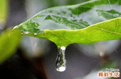 梅雨季节怎么除湿防潮 梅雨季节的特点