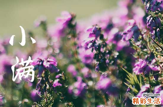 小满动三车是指哪三车 小满的风俗及饮食特点