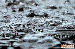 南方梅雨季节是什么时候南方梅雨季节的气候特点