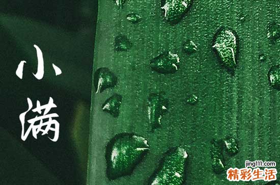 小满节气吃的苦菜是什么菜适合小满节气吃的食物