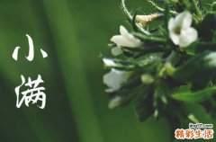 小满见三新指的是哪三新 关于小满节气的诗词