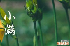 24节气小满的寓意和象征 小满节气的风俗