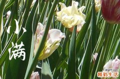 小满节气在什么季节 小满节气的诗句