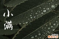 小满前后种瓜种豆是什么意思小满前后种瓜点豆指哪些作物