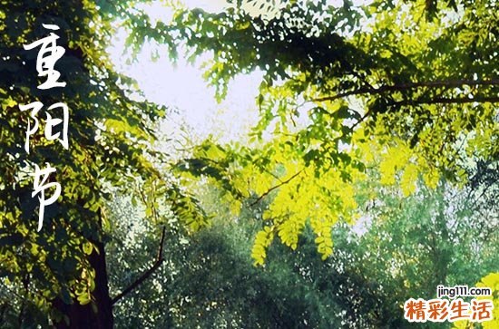 宋代重阳的习俗有哪些 辽金元明清的重阳习俗介绍