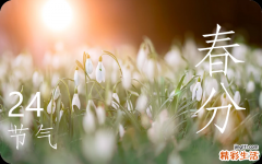 今日几点春分,2024春分是几月几日几点