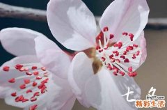关于七夕节的来历 七夕节的形成与谁有关