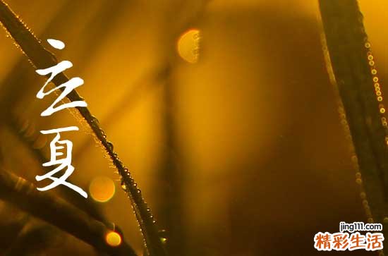 东北立夏的风俗有哪些立夏全国各地的精彩习俗