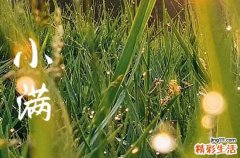 小满节气的特点和风俗是什么 小满节气的谚语
